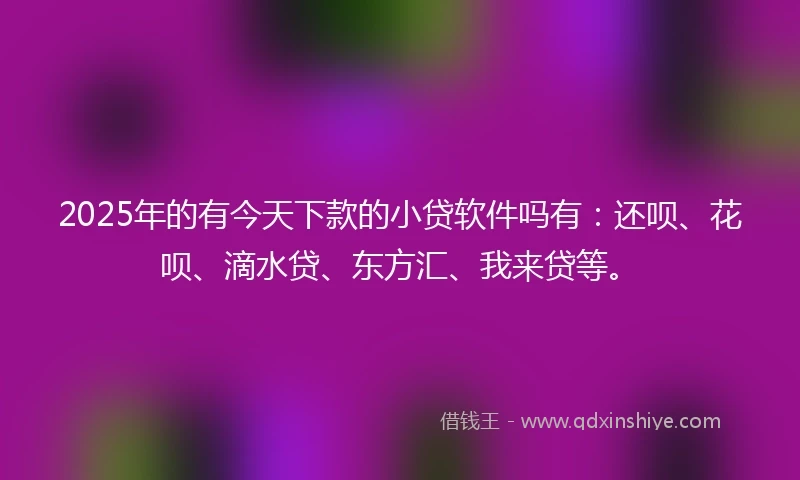2025年的有今天下款的小贷软件吗有：还呗、花呗、滴水贷、东方汇、我来贷等。
