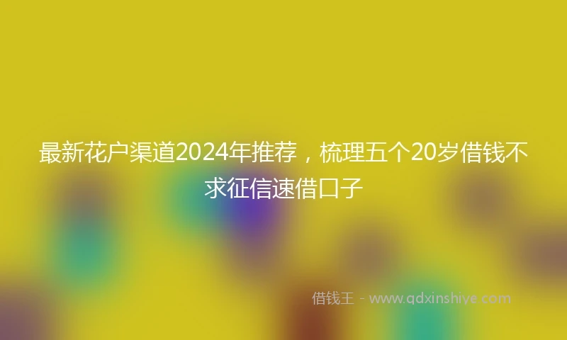最新花户渠道2024年推荐，梳理五个20岁借钱不求征信速借口子
