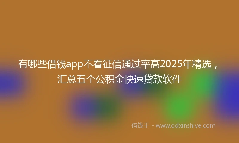 有哪些借钱app不看征信通过率高2025年精选，汇总五个公积金快速贷款软件