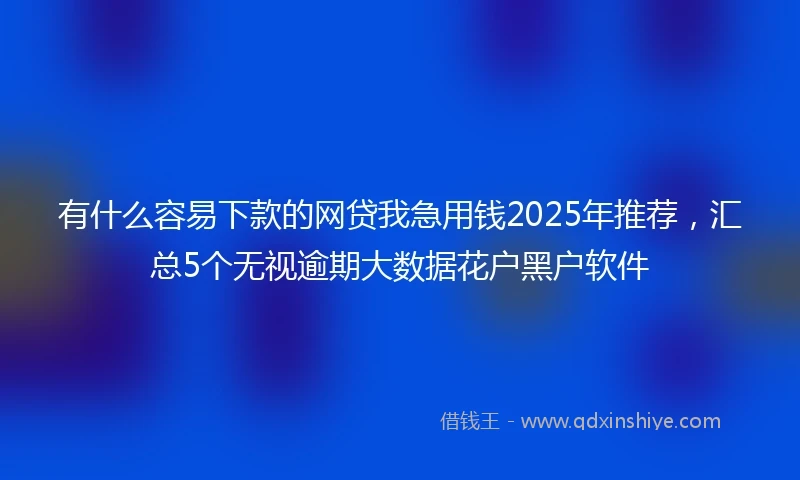 有什么容易下款的网贷我急用钱2025年推荐，汇总5个无视逾期大数据花户黑户软件