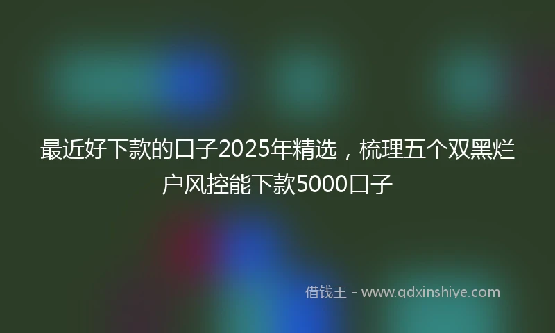 最近好下款的口子2025年精选，梳理五个双黑烂户风控能下款5000口子
