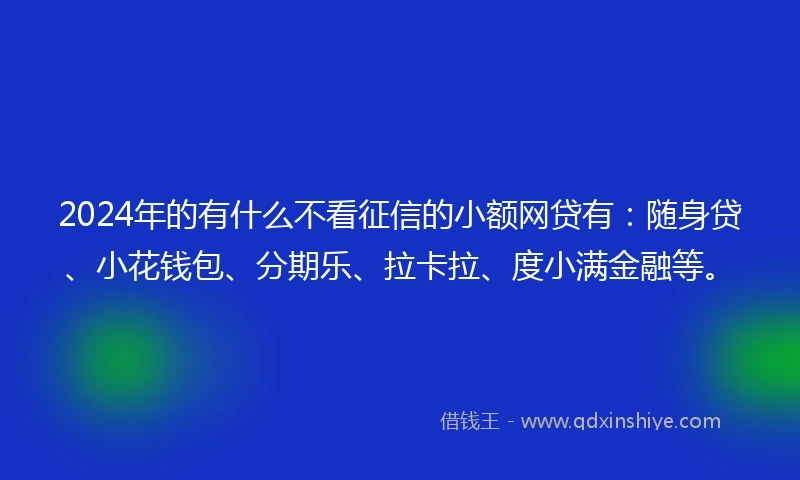 2024年的有什么不看征信的小额网贷有：随身贷、小花钱包、分期乐、拉卡拉、度小满金融等。