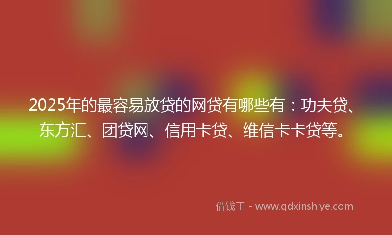 2025年的最容易放贷的网贷有哪些有：功夫贷、东方汇、团贷网、信用卡贷、维信卡卡贷等。