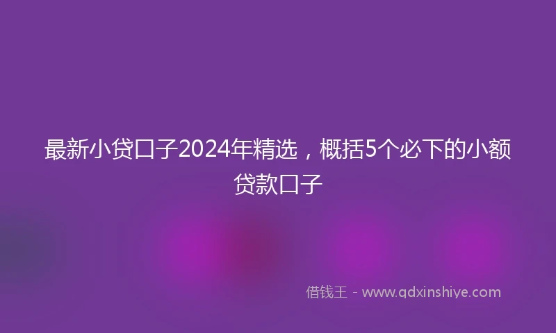 最新小贷口子2024年精选，概括5个必下的小额贷款口子