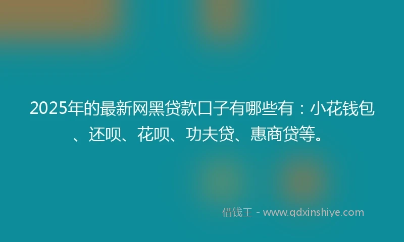 2025年的最新网黑贷款口子有哪些有：小花钱包、还呗、花呗、功夫贷、惠商贷等。