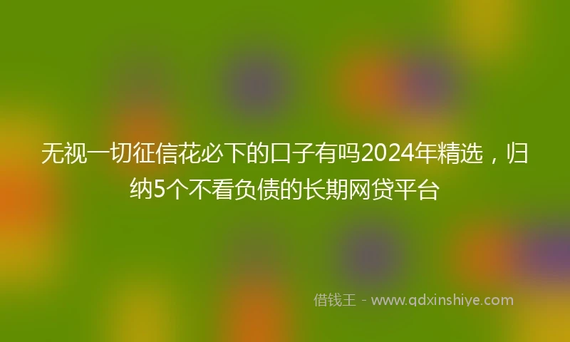 无视一切征信花必下的口子有吗2024年精选，归纳5个不看负债的长期网贷平台