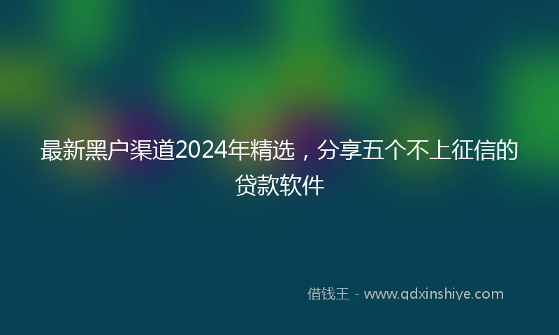 最新黑户渠道2024年精选，分享五个不上征信的贷款软件