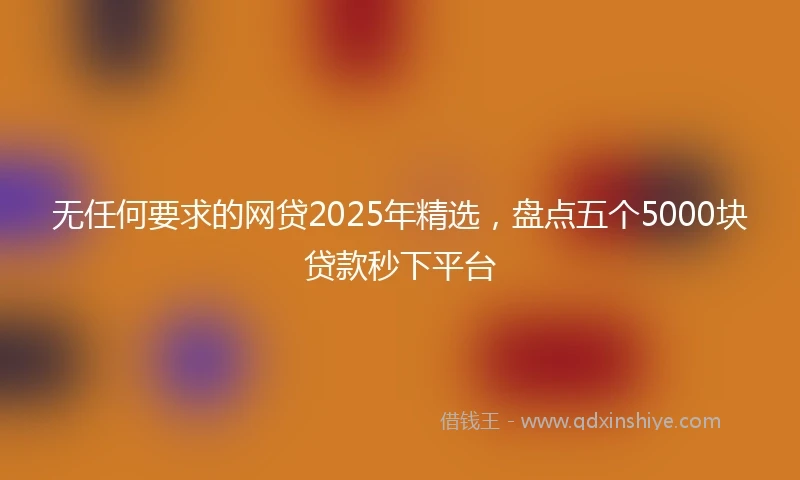 无任何要求的网贷2025年精选，盘点五个5000块贷款秒下平台