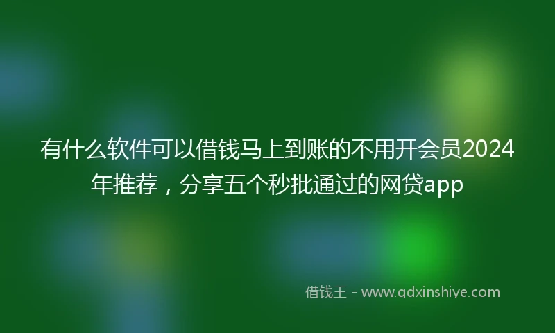 有什么软件可以借钱马上到账的不用开会员2024年推荐，分享五个秒批通过的网贷app