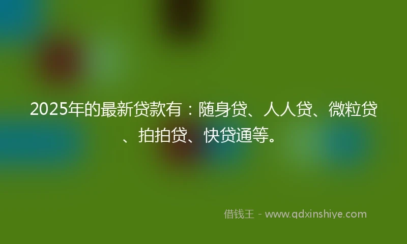 2025年的最新贷款有：随身贷、人人贷、微粒贷、拍拍贷、快贷通等。