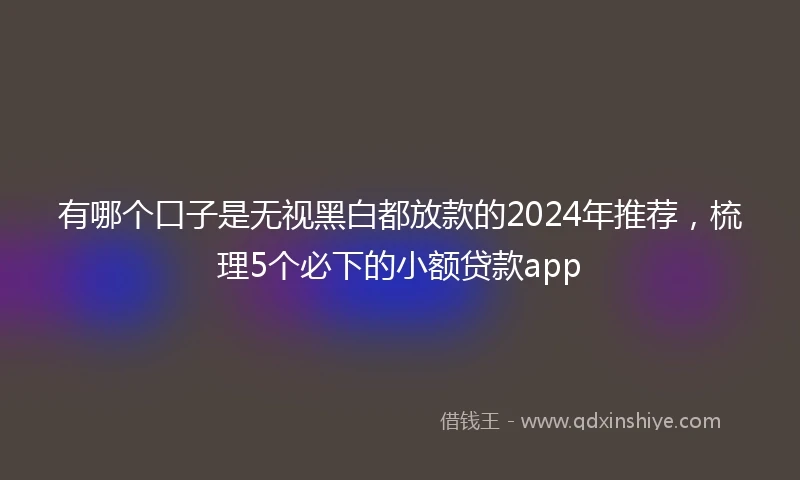 有哪个口子是无视黑白都放款的2024年推荐，梳理5个必下的小额贷款app