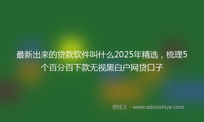 最新出来的贷款软件叫什么2025年精选，梳理5个百分百下款无视黑白户网贷口子