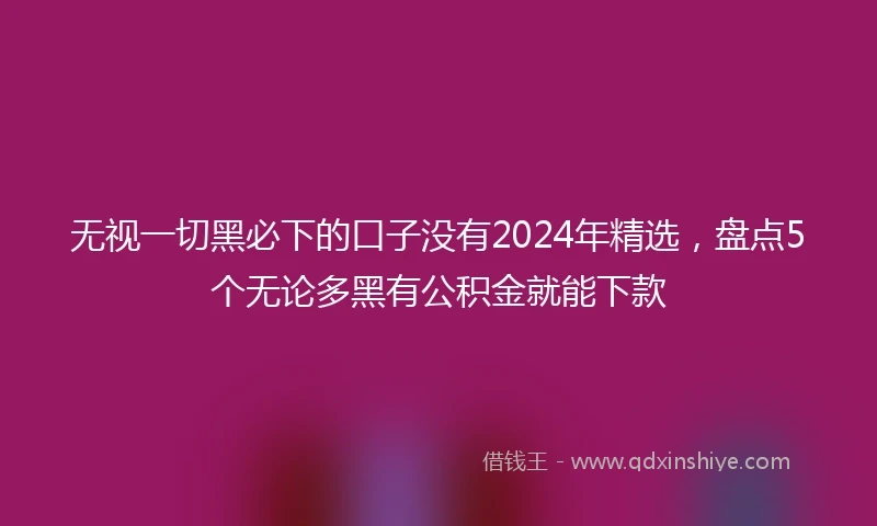 无视一切黑必下的口子没有2024年精选，盘点5个无论多黑有公积金就能下款
