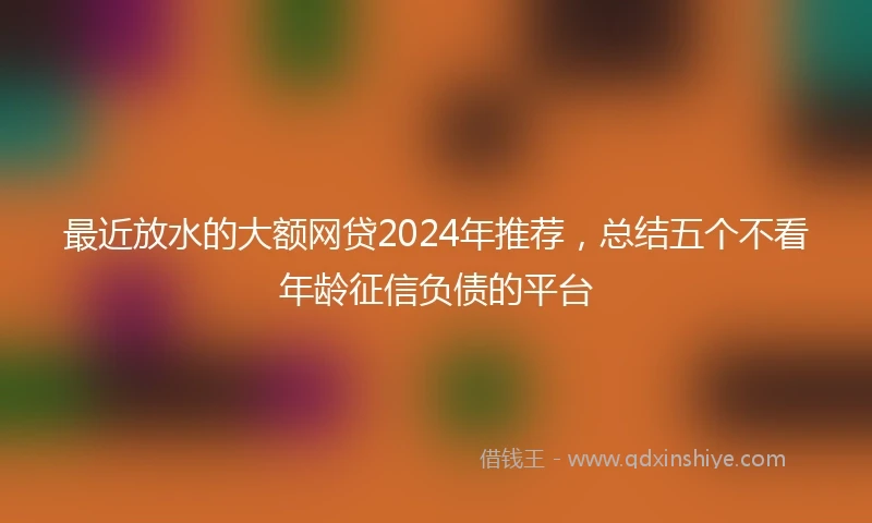 最近放水的大额网贷2024年推荐，总结五个不看年龄征信负债的平台