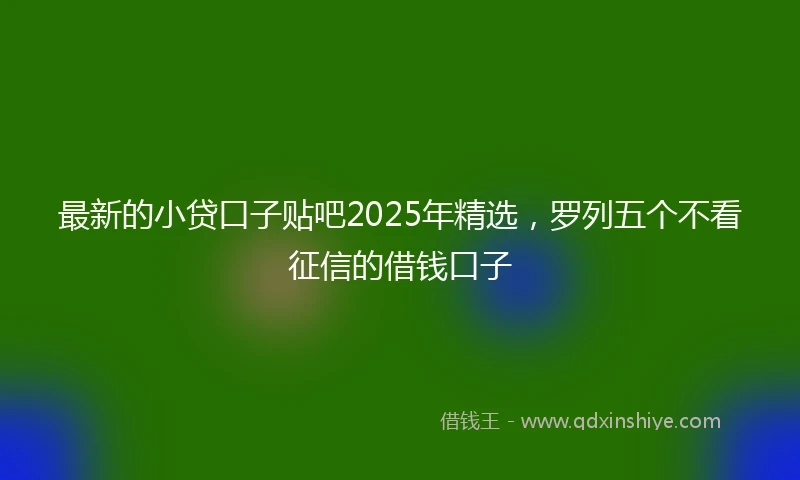 最新的小贷口子贴吧2025年精选，罗列五个不看征信的借钱口子