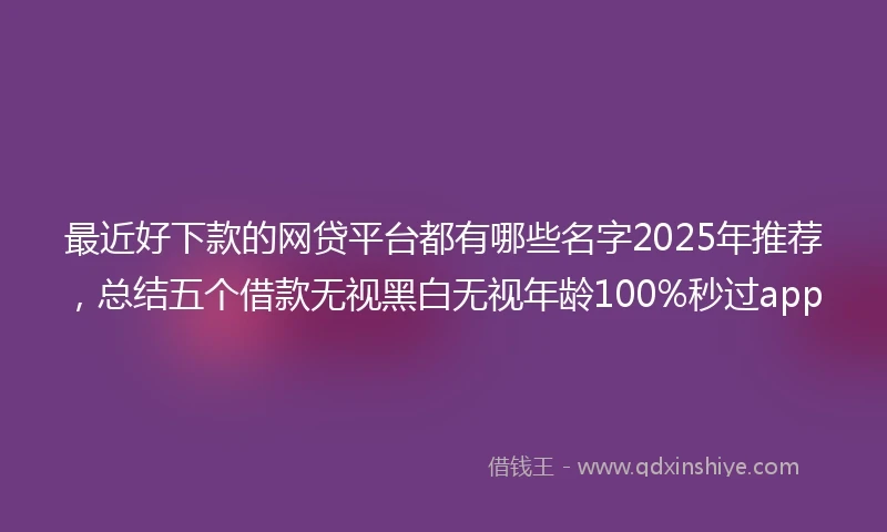 最近好下款的网贷平台都有哪些名字2025年推荐，总结五个借款无视黑白无视年龄100%秒过app