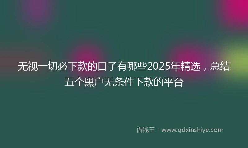 无视一切必下款的口子有哪些2025年精选，总结五个黑户无条件下款的平台