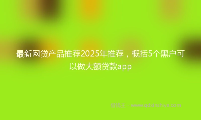 最新网贷产品推荐2025年推荐，概括5个黑户可以做大额贷款app