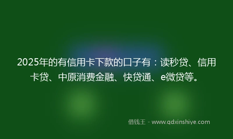 2025年的有信用卡下款的口子有：读秒贷、信用卡贷、中原消费金融、快贷通、e微贷等。