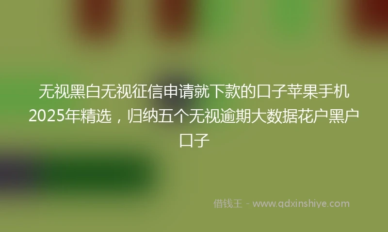 无视黑白无视征信申请就下款的口子苹果手机2025年精选，归纳五个无视逾期大数据花户黑户口子