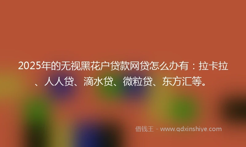 2025年的无视黑花户贷款网贷怎么办有：拉卡拉、人人贷、滴水贷、微粒贷、东方汇等。