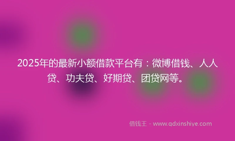 2025年的最新小额借款平台有：微博借钱、人人贷、功夫贷、好期贷、团贷网等。