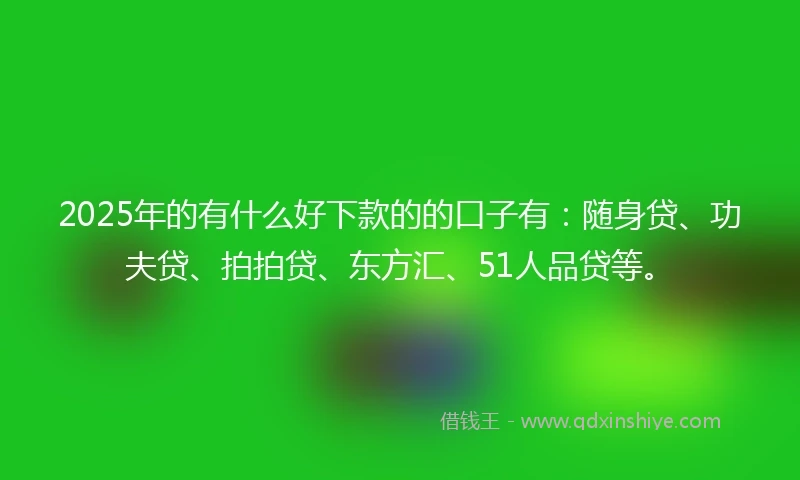 2025年的有什么好下款的的口子有：随身贷、功夫贷、拍拍贷、东方汇、51人品贷等。