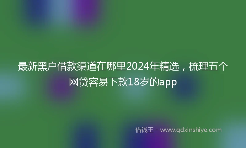 最新黑户借款渠道在哪里2024年精选，梳理五个网贷容易下款18岁的app