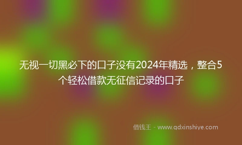 无视一切黑必下的口子没有2024年精选，整合5个轻松借款无征信记录的口子