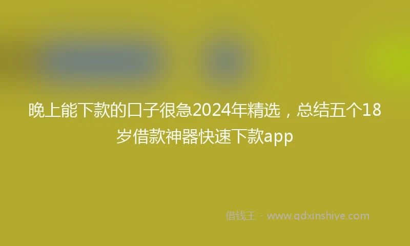 晚上能下款的口子很急2024年精选，总结五个18岁借款神器快速下款app