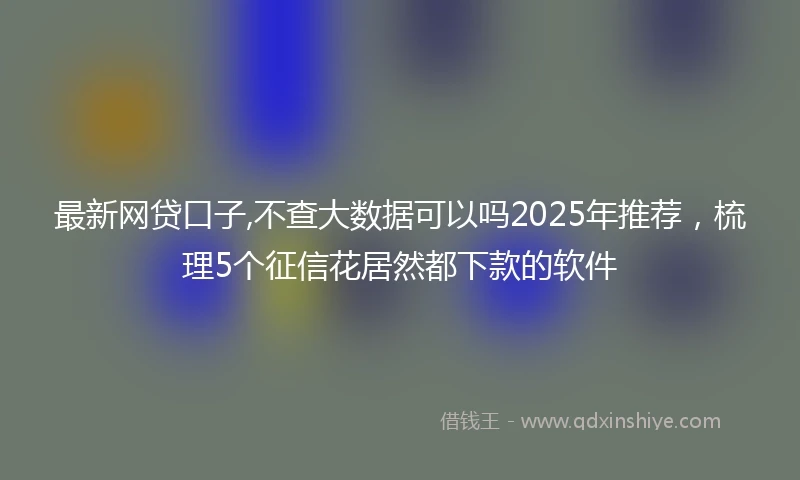 最新网贷口子,不查大数据可以吗2025年推荐，梳理5个征信花居然都下款的软件