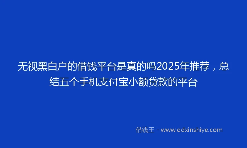 无视黑白户的借钱平台是真的吗2025年推荐，总结五个手机支付宝小额贷款的平台