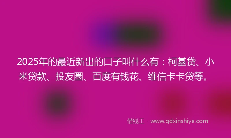2025年的最近新出的口子叫什么有：柯基贷、小米贷款、投友圈、百度有钱花、维信卡卡贷等。