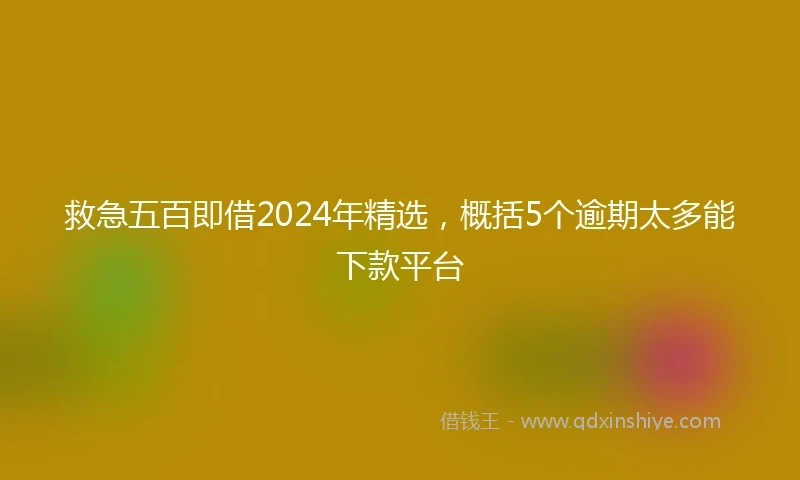 救急五百即借2024年精选，概括5个逾期太多能下款平台