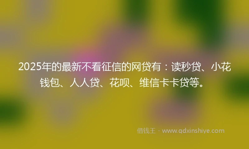 2025年的最新不看征信的网贷有：读秒贷、小花钱包、人人贷、花呗、维信卡卡贷等。