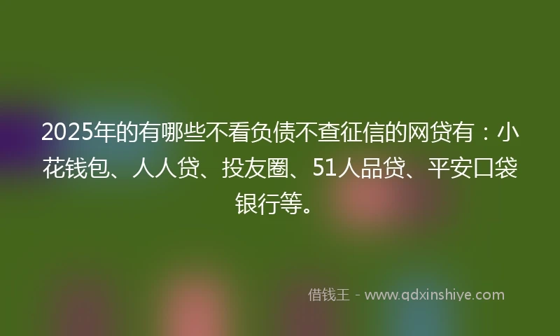 2025年的有哪些不看负债不查征信的网贷有：小花钱包、人人贷、投友圈、51人品贷、平安口袋银行等。
