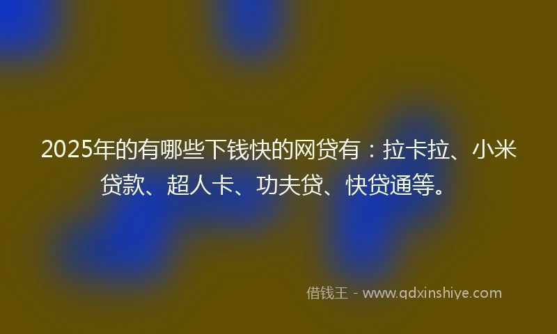 2025年的有哪些下钱快的网贷有：拉卡拉、小米贷款、超人卡、功夫贷、快贷通等。
