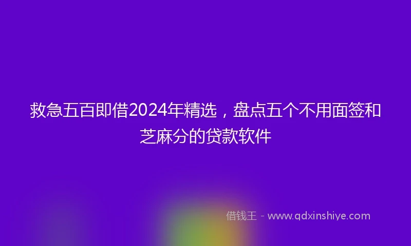 救急五百即借2024年精选，盘点五个不用面签和芝麻分的贷款软件