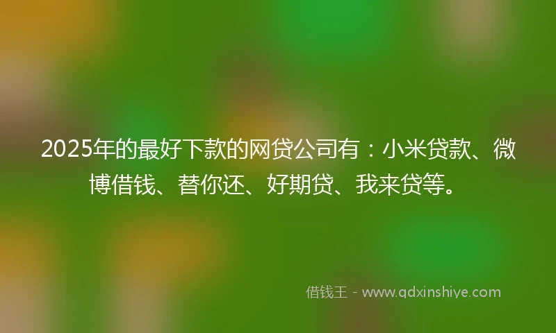 2025年的最好下款的网贷公司有：小米贷款、微博借钱、替你还、好期贷、我来贷等。