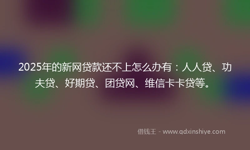 2025年的新网贷款还不上怎么办有：人人贷、功夫贷、好期贷、团贷网、维信卡卡贷等。