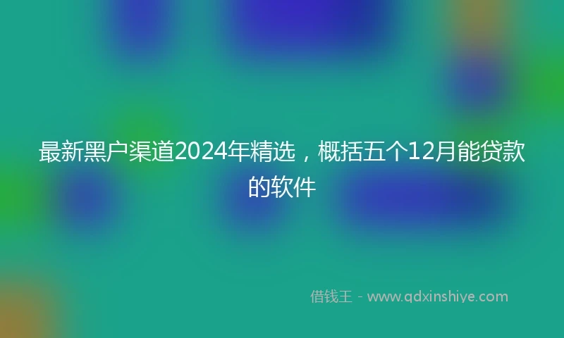 最新黑户渠道2024年精选，概括五个12月能贷款的软件
