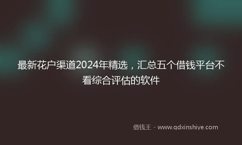 最新花户渠道2024年精选，汇总五个借钱平台不看综合评估的软件
