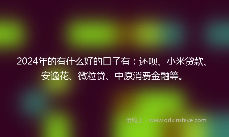 2024年的有什么好的口子有：还呗、小米贷款、安逸花、微粒贷、中原消费金融等。