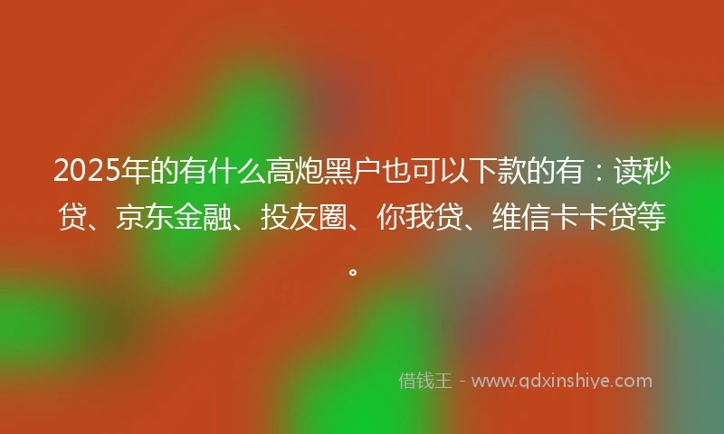 2025年的有什么高炮黑户也可以下款的有：读秒贷、京东金融、投友圈、你我贷、维信卡卡贷等。