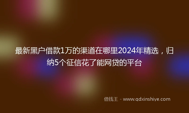 最新黑户借款1万的渠道在哪里2024年精选，归纳5个征信花了能网贷的平台