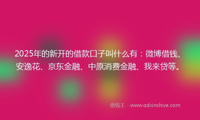 2025年的新开的借款口子叫什么有：微博借钱、安逸花、京东金融、中原消费金融、我来贷等。