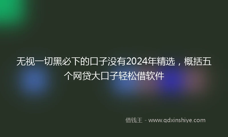 无视一切黑必下的口子没有2024年精选，概括五个网贷大口子轻松借软件