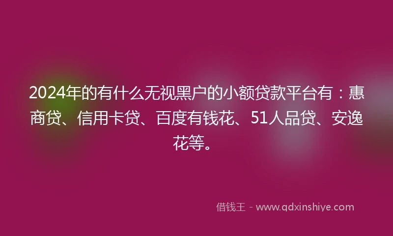 2024年的有什么无视黑户的小额贷款平台有：惠商贷、信用卡贷、百度有钱花、51人品贷、安逸花等。