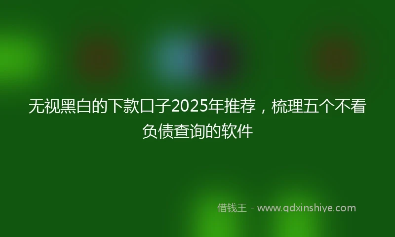 无视黑白的下款口子2025年推荐，梳理五个不看负债查询的软件