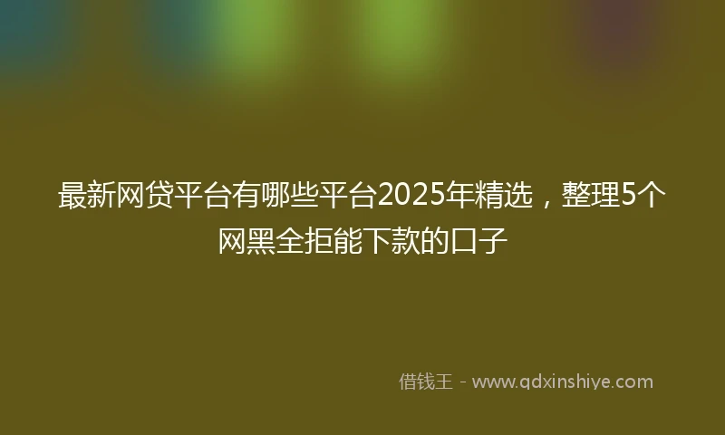 最新网贷平台有哪些平台2025年精选，整理5个网黑全拒能下款的口子